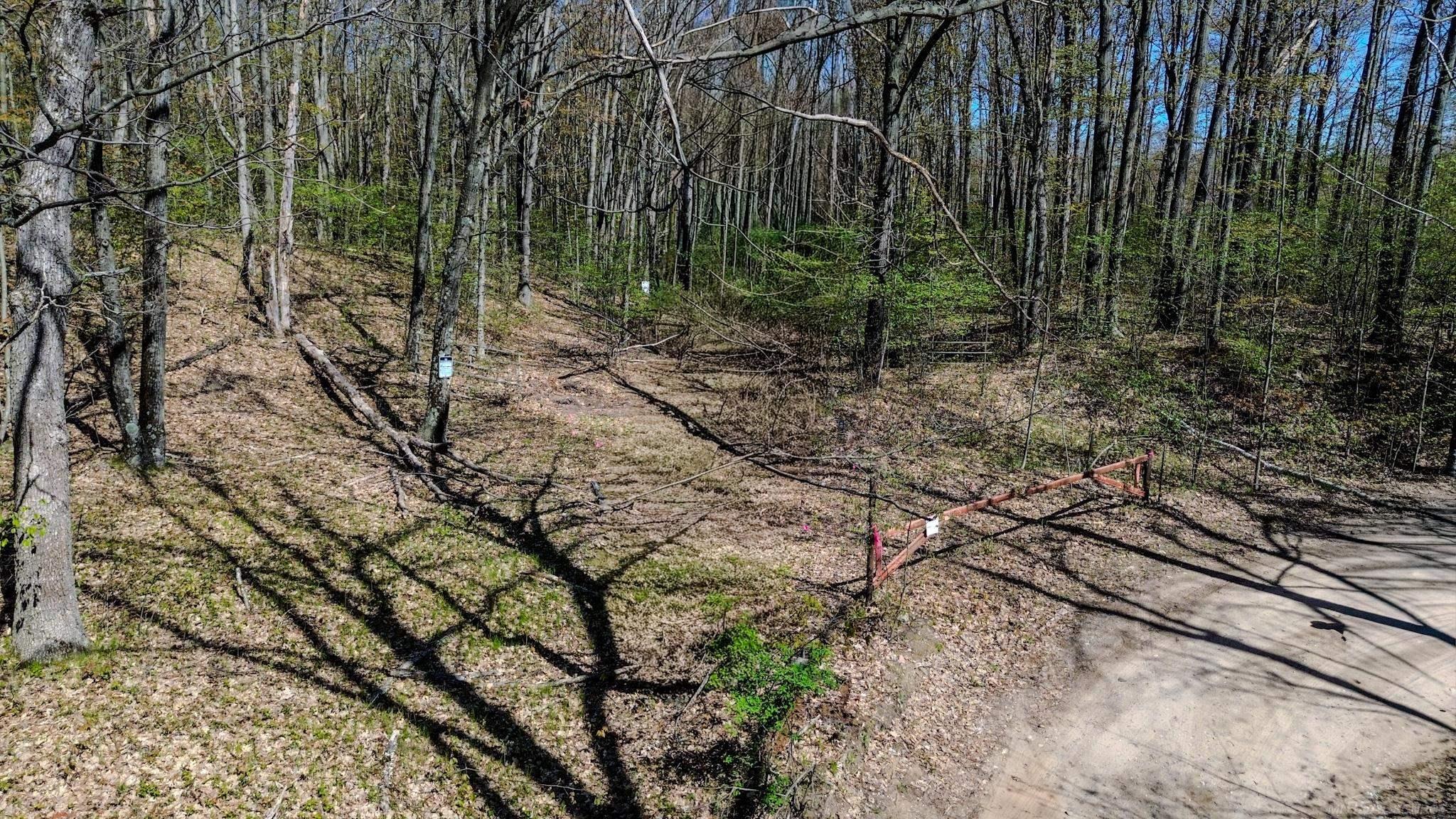 00 Woodsway Drive