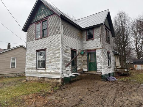 427 Monroe Street Marshall City MI 49068