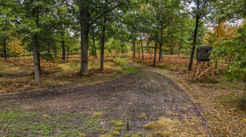 1231 Manor Road Au Gres Township MI 48703