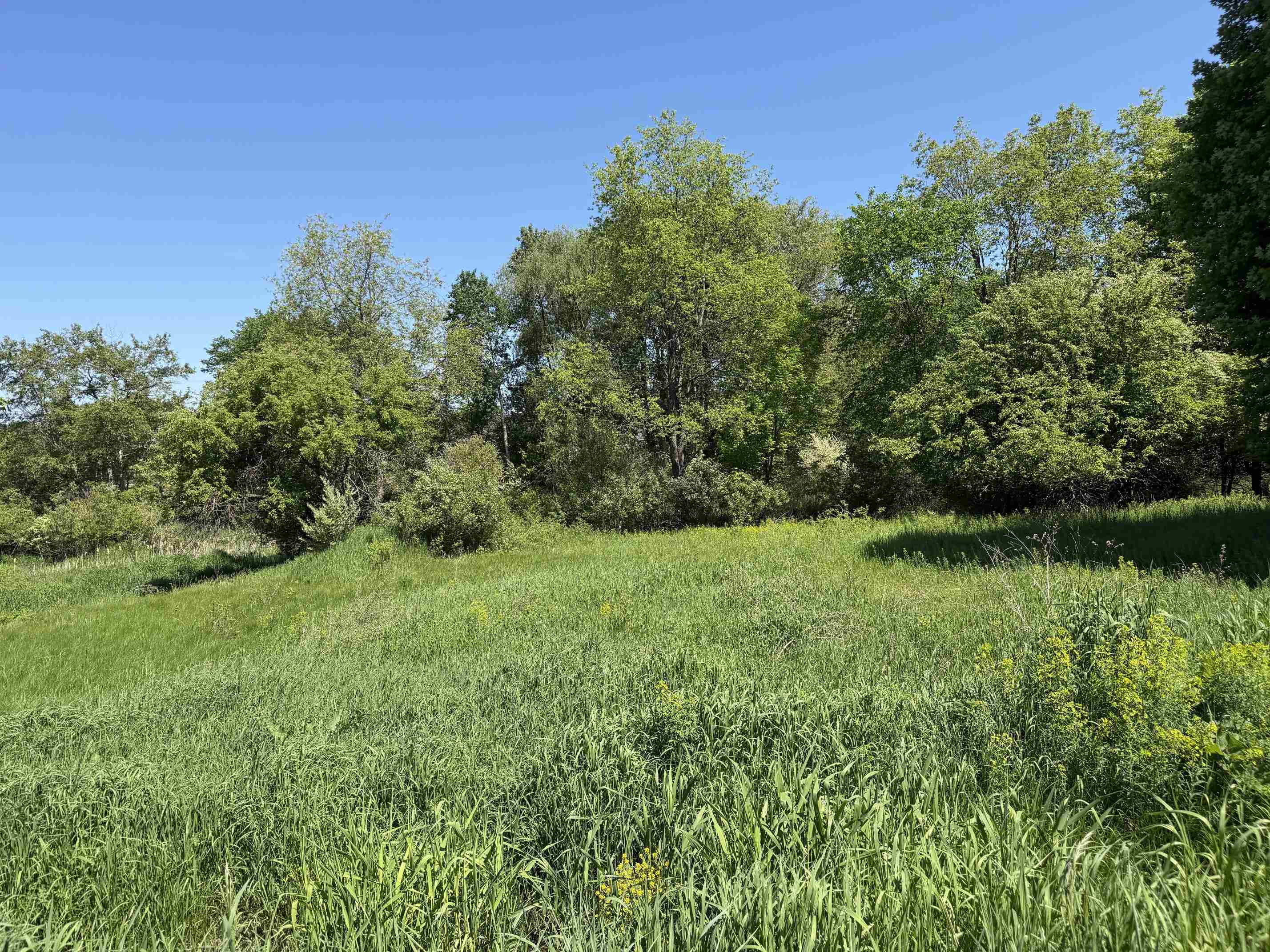 1 Shanty Creek Road