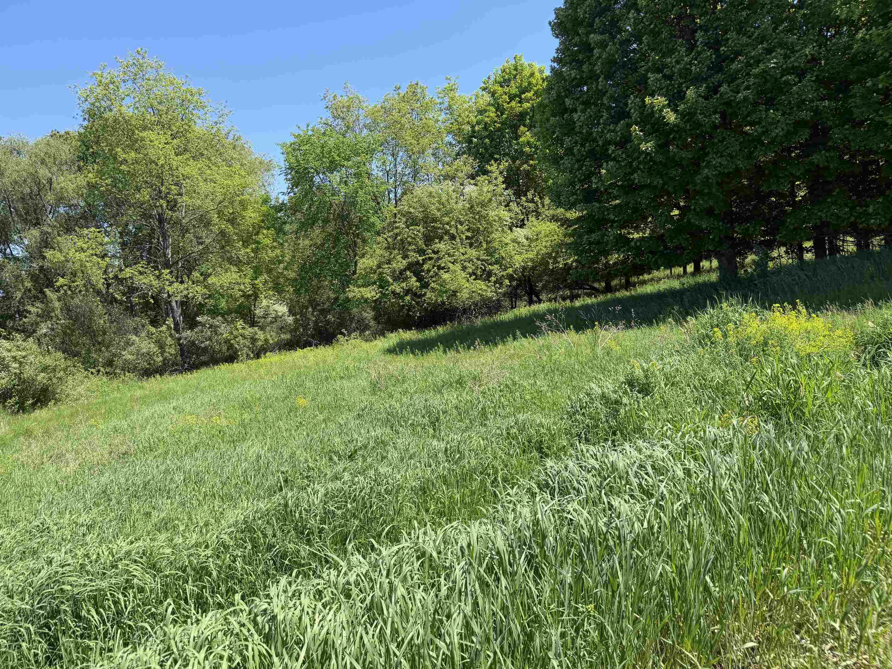 1 Shanty Creek Road