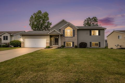 10913 Douglas Drive Allendale Charter Township MI 49401