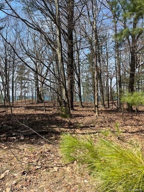 5271 Lake Breeze Drive Pentwater Village MI 49449