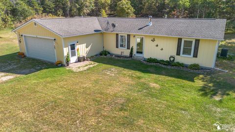 10339 E Forest Way South Branch Township MI 48653