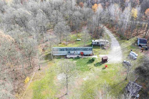 10593 E Remus Road Chippewa Township MI 48858