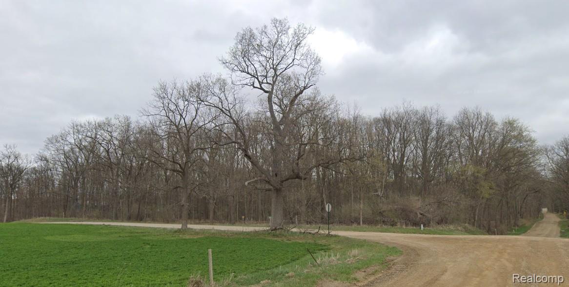 V/L N Lima Center Road
