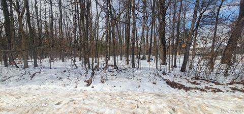 001 Driftwood Drive Deerfield Township MI 48430