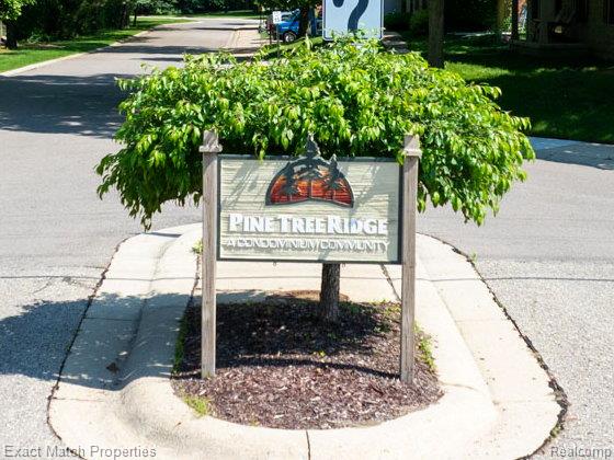 140 Pine Tree Ridge Drive 2