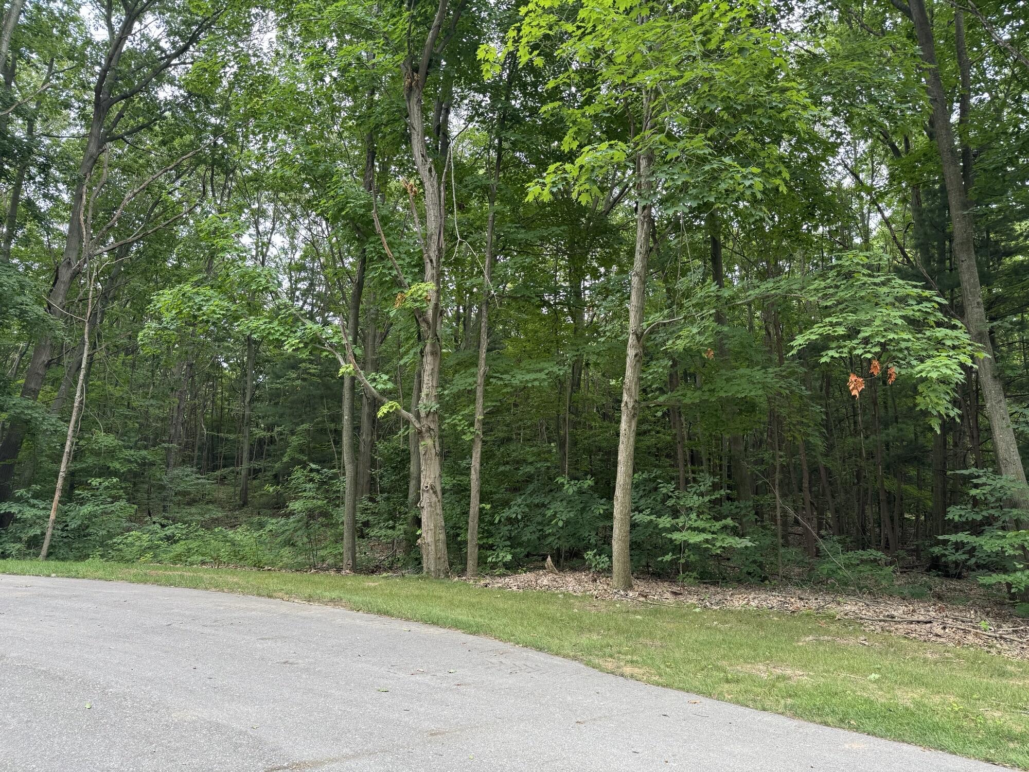 76757 Wood Crest Court