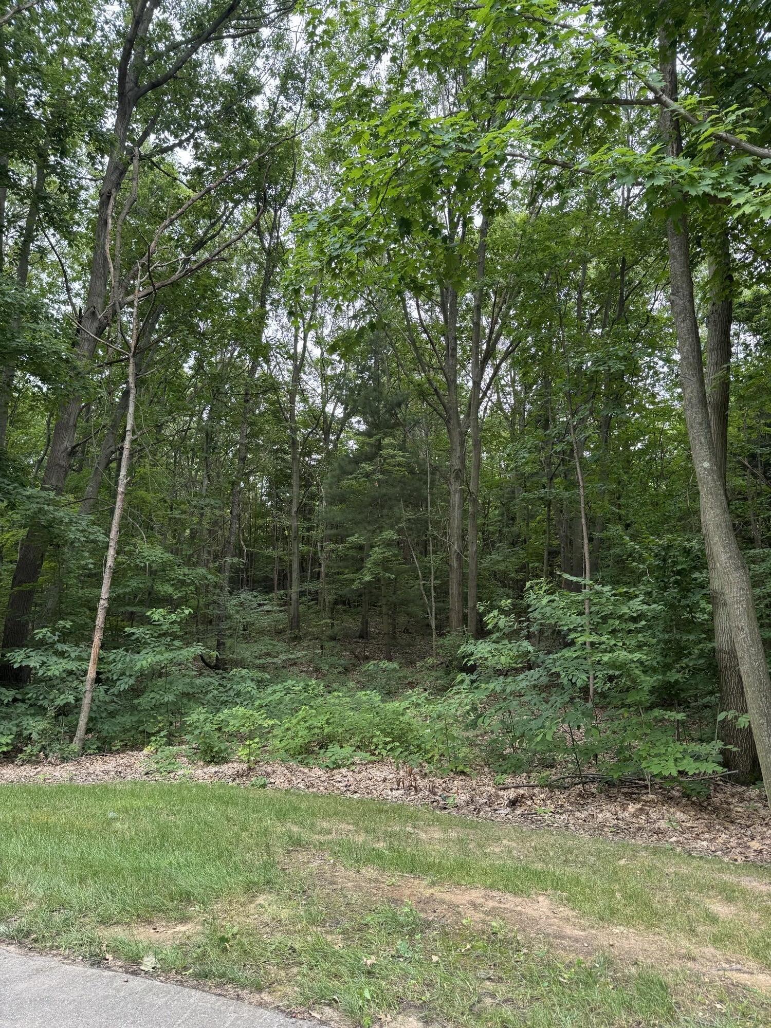 76757 Wood Crest Court