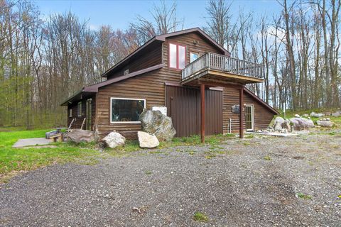 17099 Sierra Drive Colfax Township MI 49307