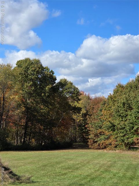 Unit 12 Sheryl Court Mayfield Township MI 48446