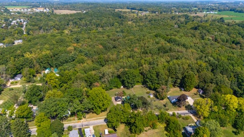 Tiny photo for 903 E Mill Street, Hastings City, MI 49058 (MLS # 65026055812)