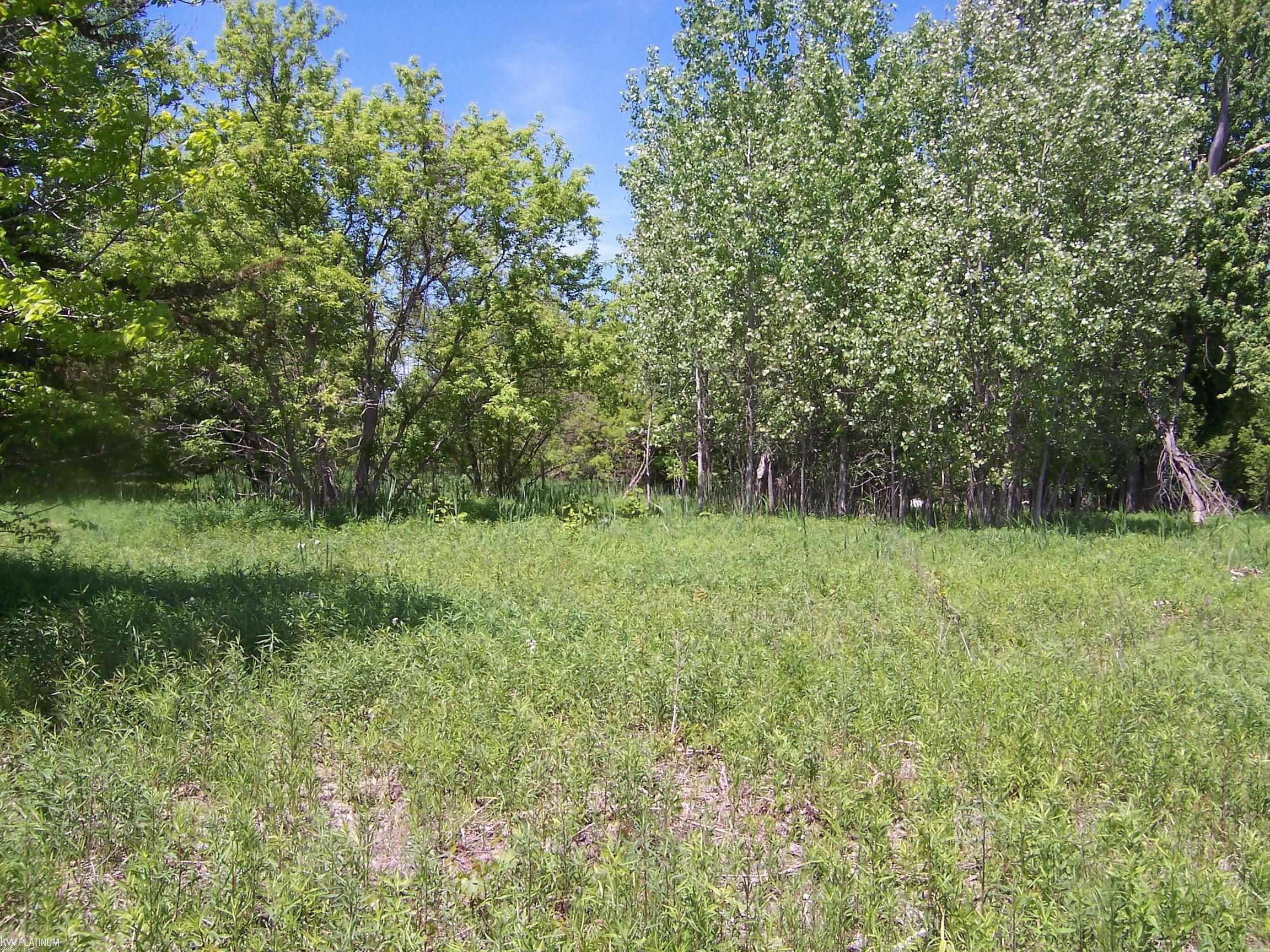 Lot 2 Lapeer Rd Road