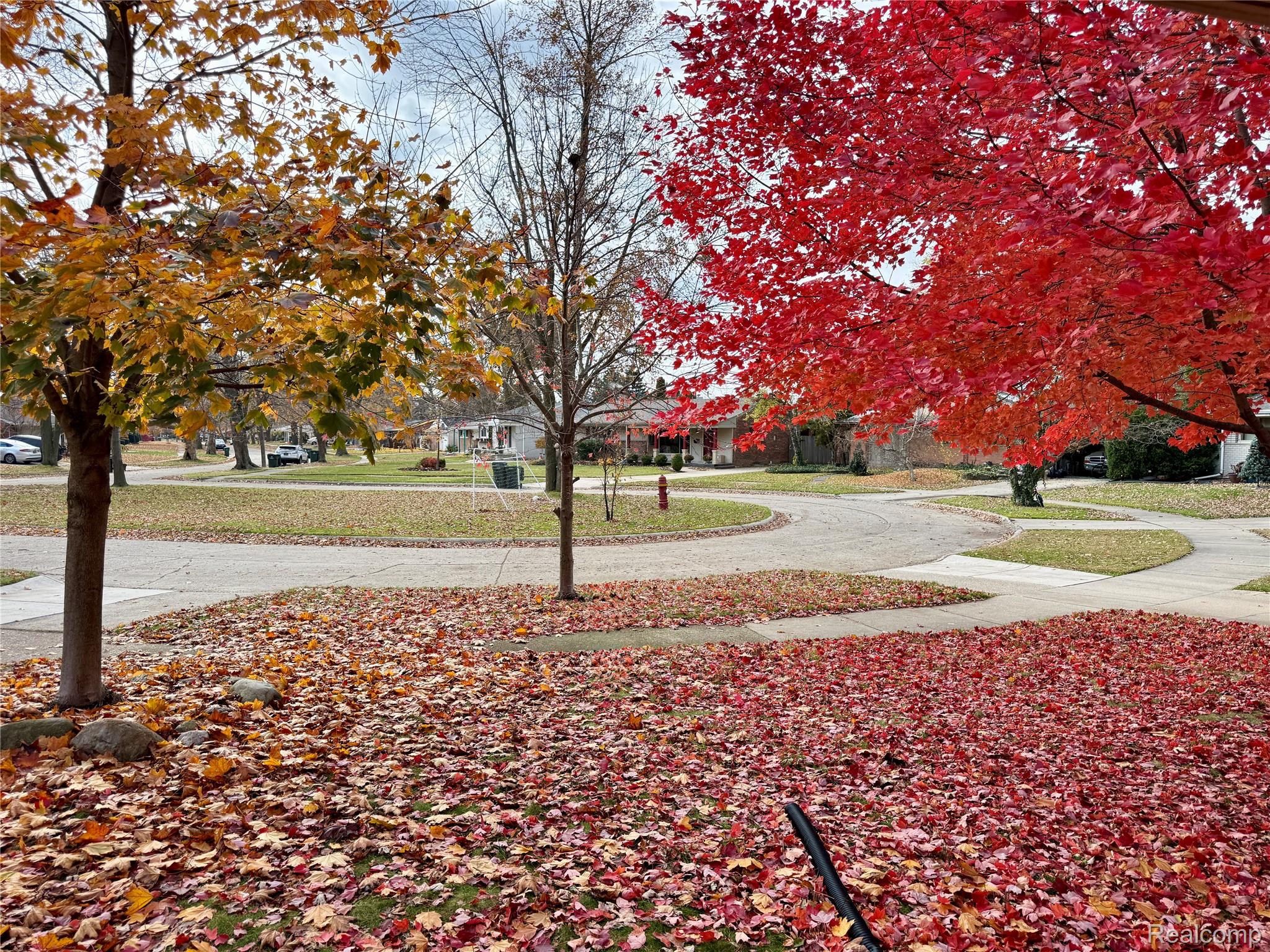 30267 Champine Street