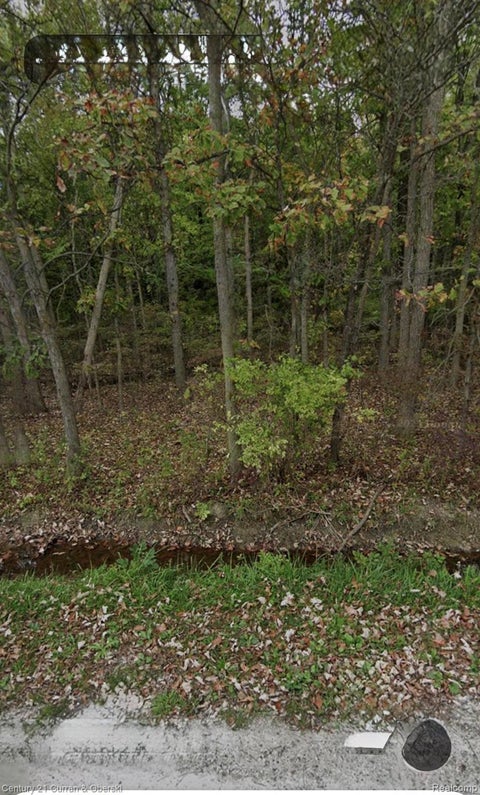 Photo for 24661 28 Mile Road