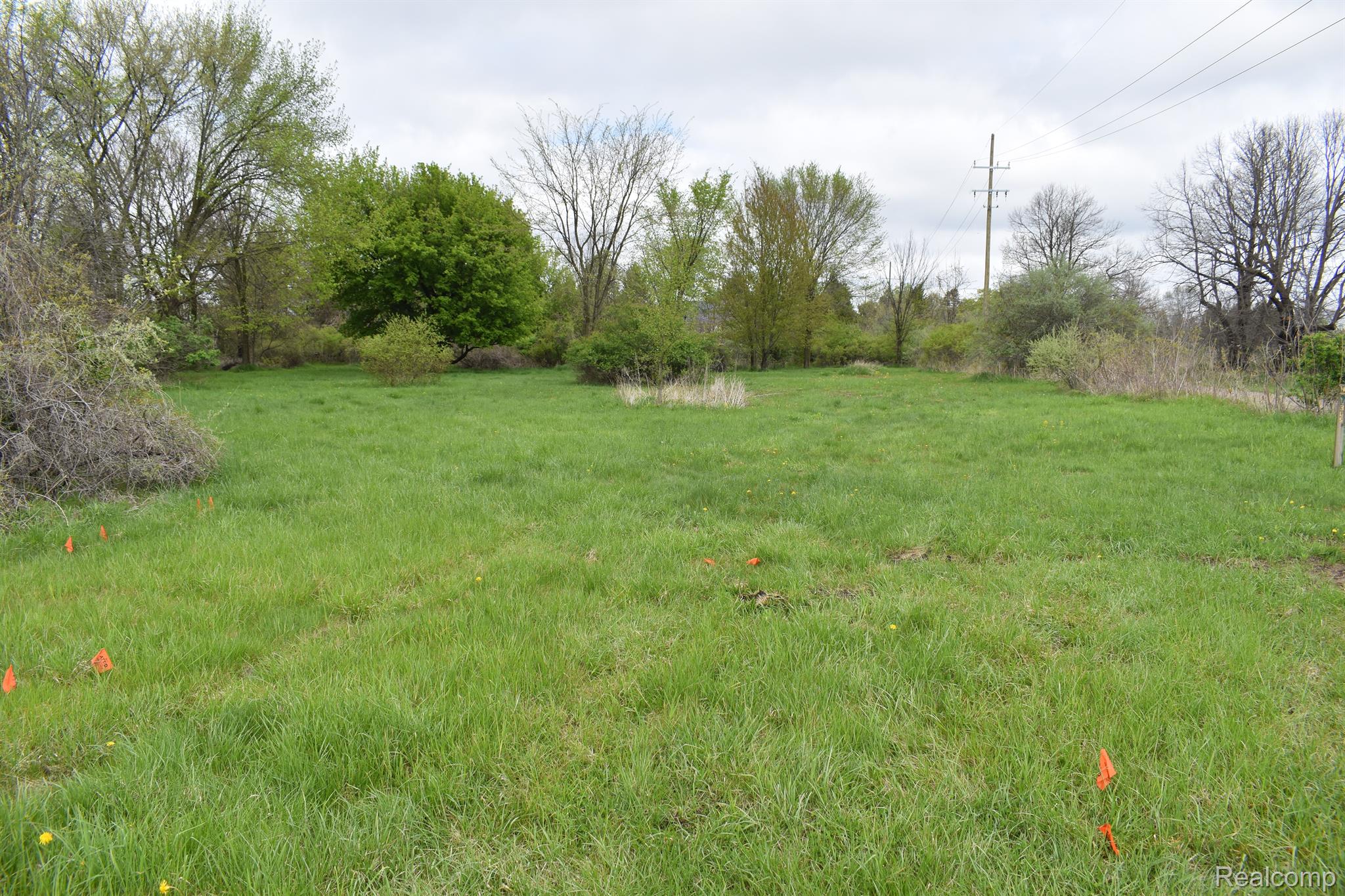 VL Grand River Avenue