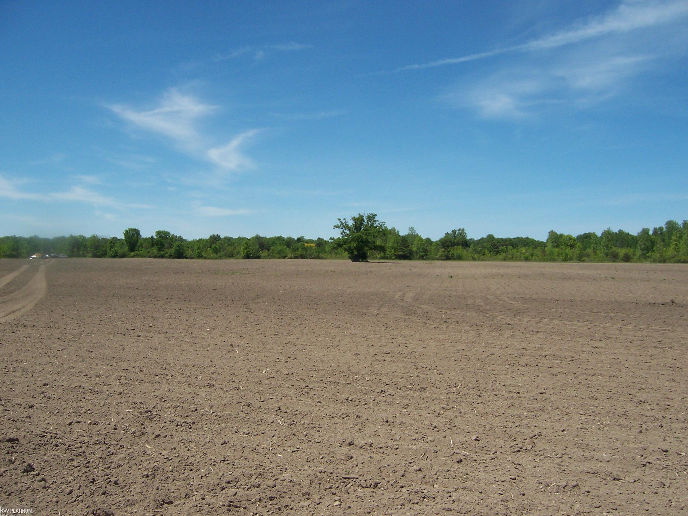 Lot 9 Lapeer Rd Road