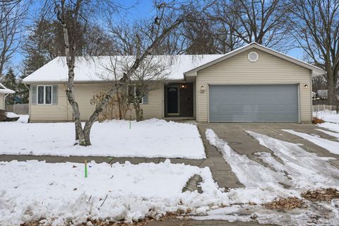 1102 N Ball Street Owosso Charter Township MI 48867