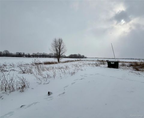 Tiny photo for 7666 Brooks Road, Burnside Township, MI 48416 (MLS # 20261002279)