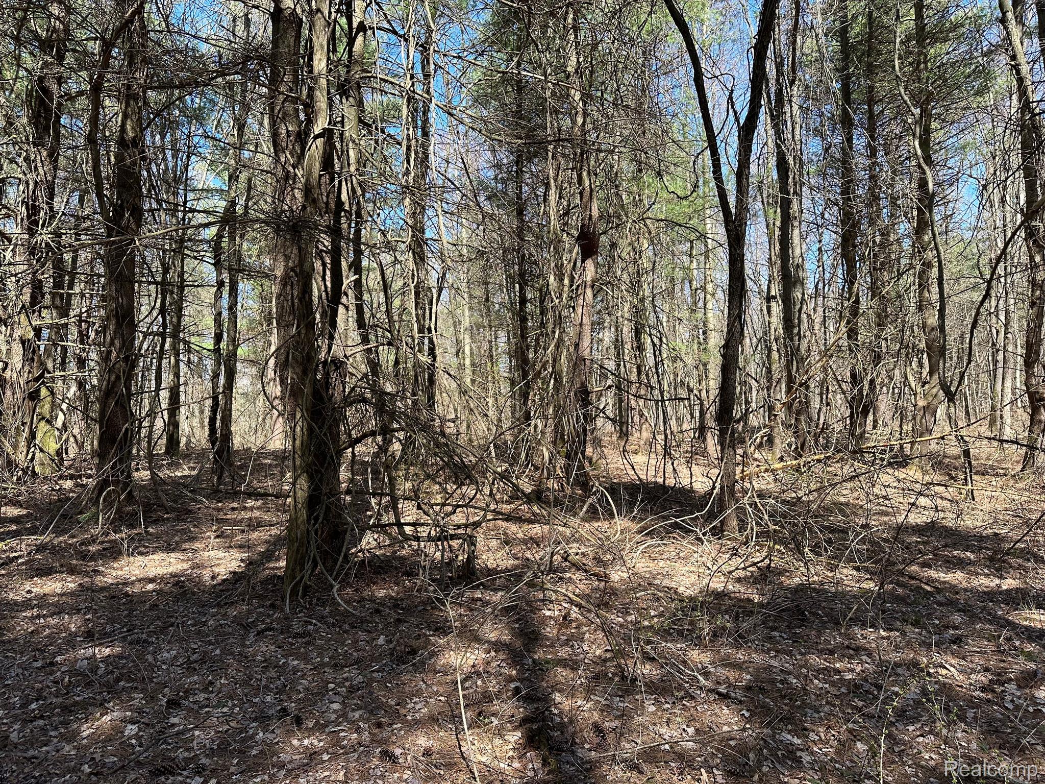 2.02 Acres VL - KNIGHTS BRIDGE Road