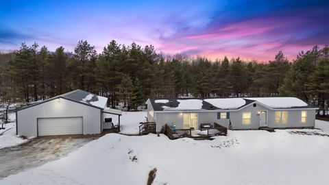 6565 N 31 Road Greenwood Township MI 49663