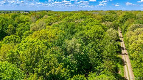 2905 N Lake Pleasant Road Arcadia Township MI 48412