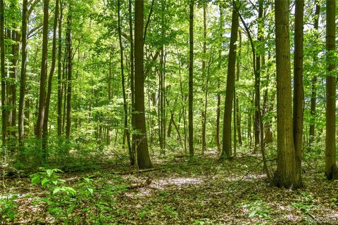 2905 N Lake Pleasant Road Arcadia Township MI 48412
