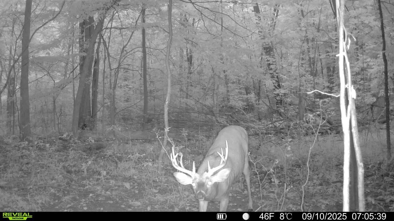 13774 Shaftsburg Road