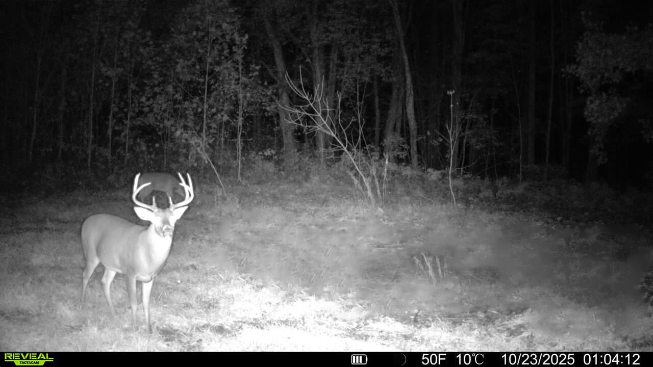 13774 Shaftsburg Road