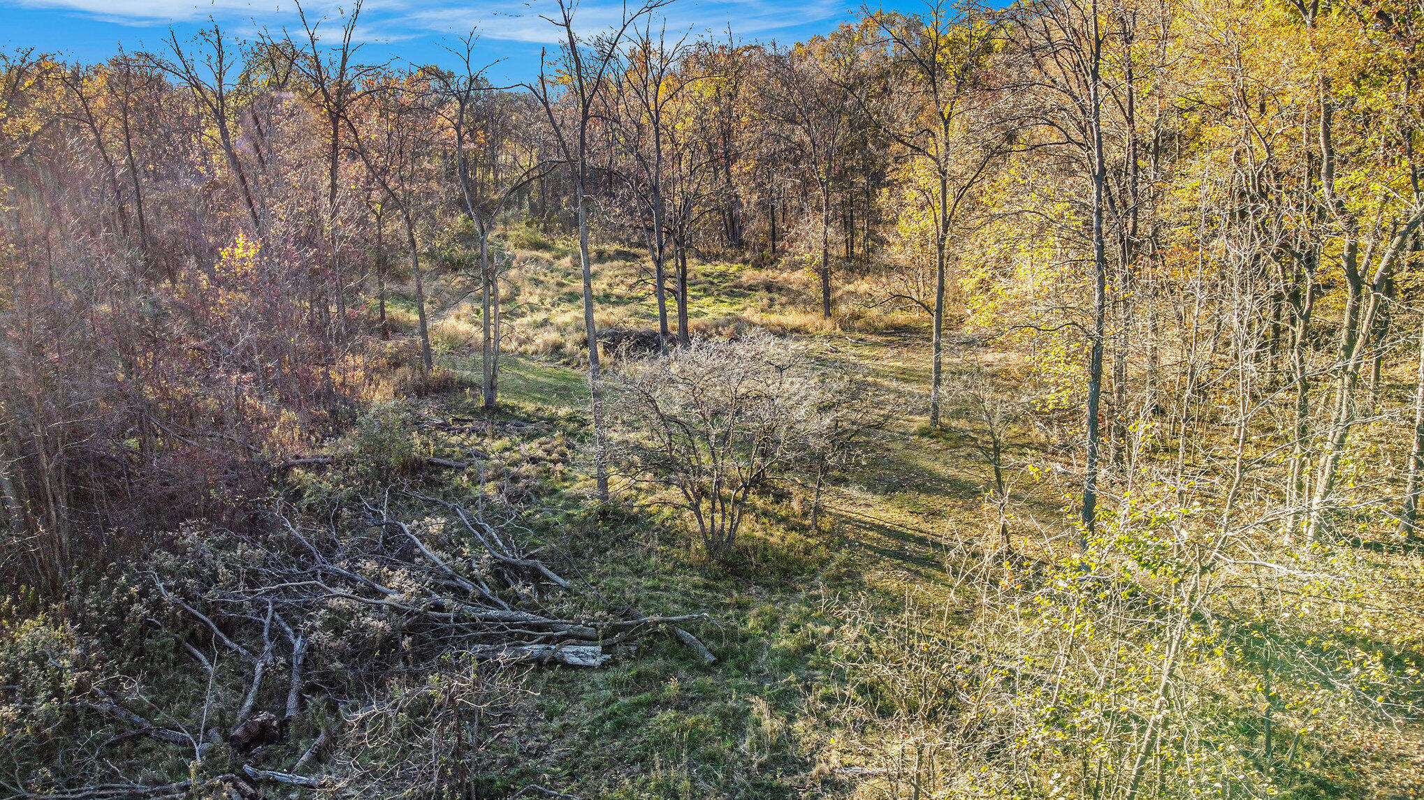 13774 Shaftsburg Road