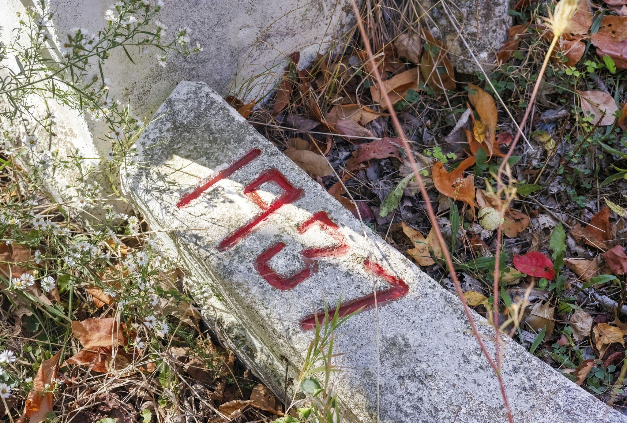 New Buffalo Township, Michigan 49117, United States, 4 Bedrooms Bedrooms, ,2 BathroomsBathrooms,Residential,Active,225452