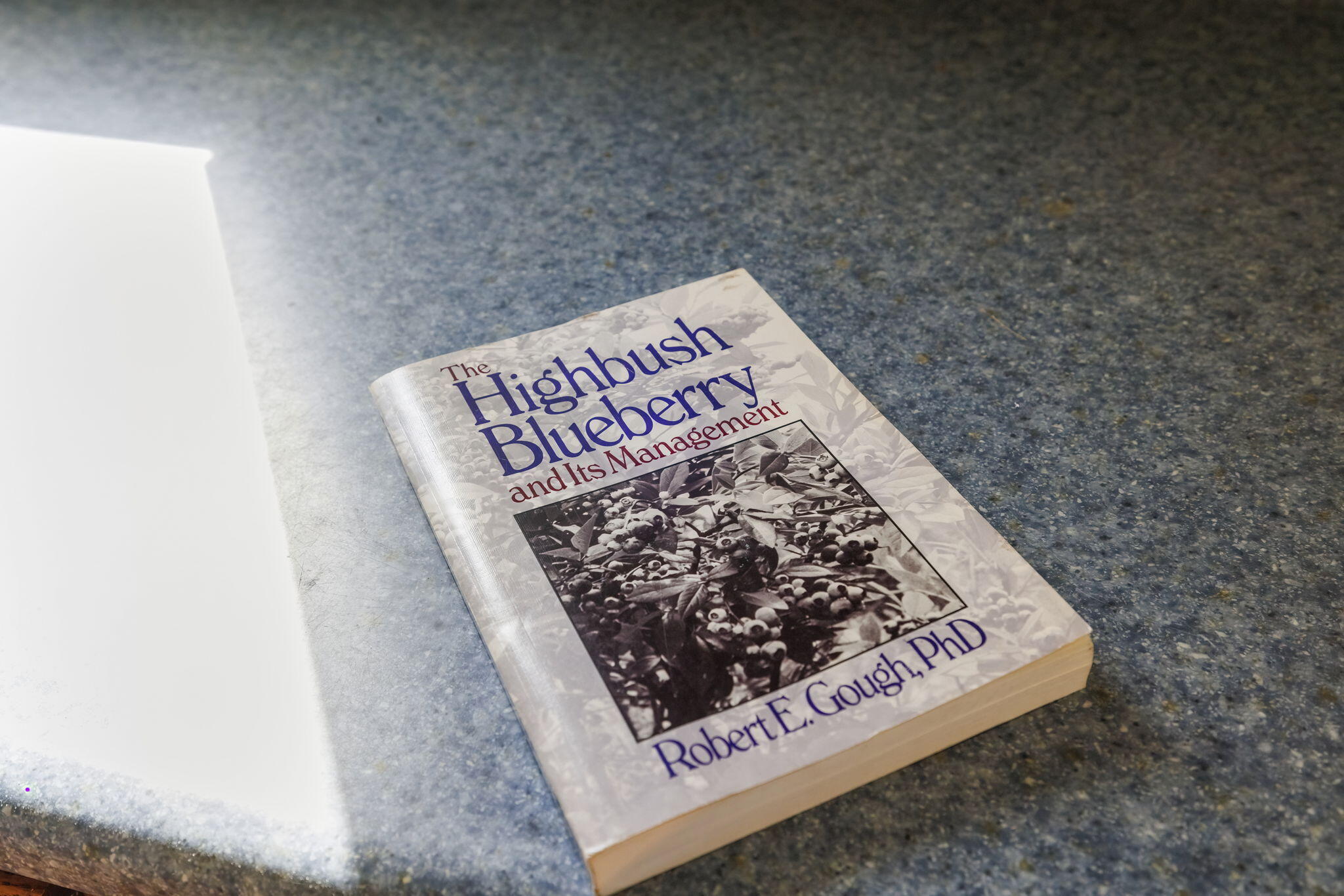 New Buffalo Township, Michigan 49117, United States, 4 Bedrooms Bedrooms, ,2 BathroomsBathrooms,Residential,Active,225452