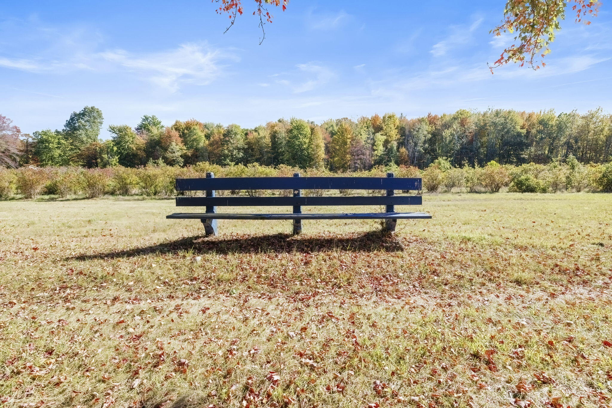 New Buffalo Township, Michigan 49117, United States, 4 Bedrooms Bedrooms, ,2 BathroomsBathrooms,Residential,Active,225452