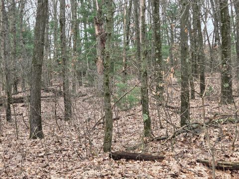 Tiny photo for 26641 60th Avenue, Antwerp Township, MI 49071 (MLS # 66026013487)