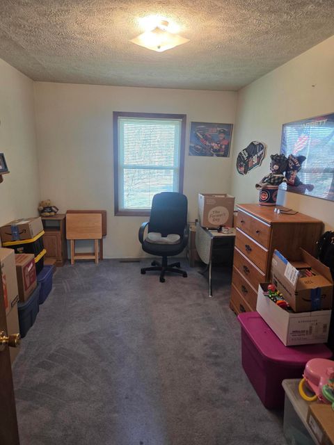 Tiny photo for 26641 60th Avenue, Antwerp Township, MI 49071 (MLS # 66026013487)