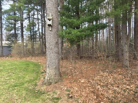 Tiny photo for 26641 60th Avenue, Antwerp Township, MI 49071 (MLS # 66026013487)