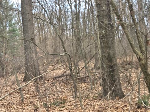 Tiny photo for 26641 60th Avenue, Antwerp Township, MI 49071 (MLS # 66026013487)