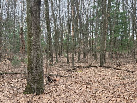 Tiny photo for 26641 60th Avenue, Antwerp Township, MI 49071 (MLS # 66026013487)