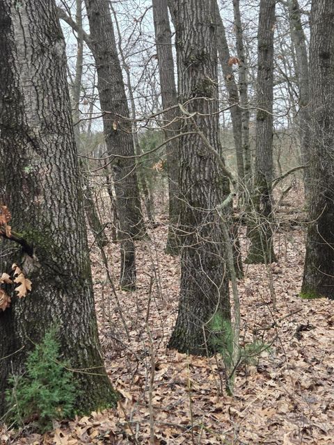 Tiny photo for 26641 60th Avenue, Antwerp Township, MI 49071 (MLS # 66026013487)