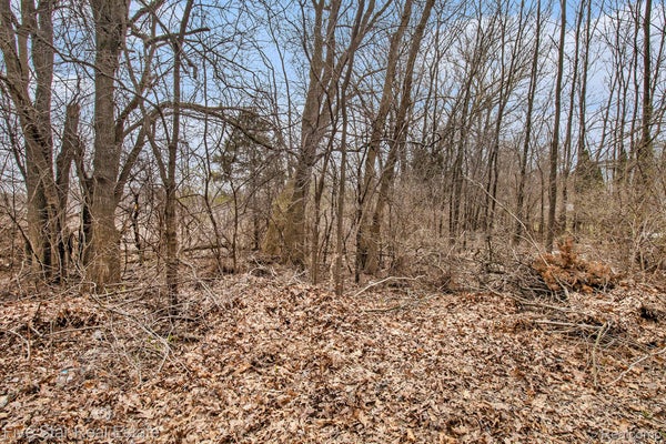 DICKERT ST, COMMERCE TOWNSHIP, MI 48382 - Image 73a08c68a4f6be38f334e1a4281c6c8e/3208037057