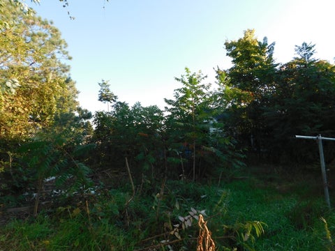 Tiny photo for 2627 Yore Avenue, Sodus Township, MI 49126 (MLS # 64026054583)