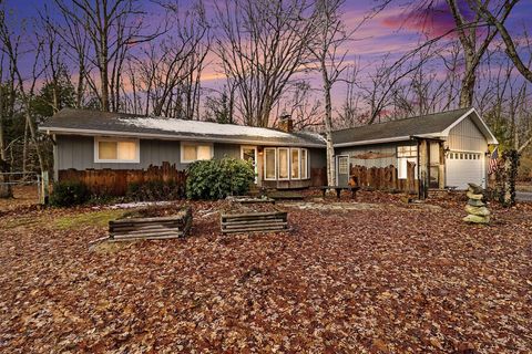 6595 Zellar Road Fruitland Township MI 49461