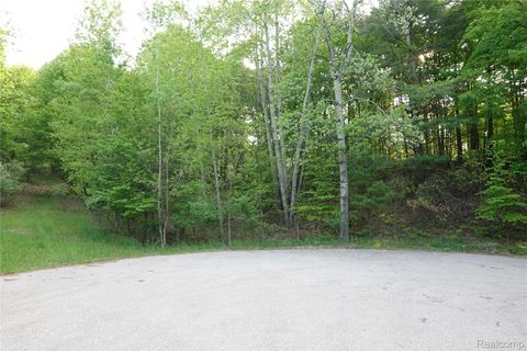 000 Buckridge Court Milton Township MI 49676