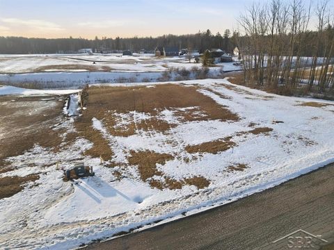 Lot 9 E Shoreline Drive Hope Township MI 48628