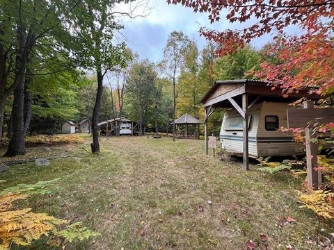 00 W Gaukel Road Forest Township MI 49651