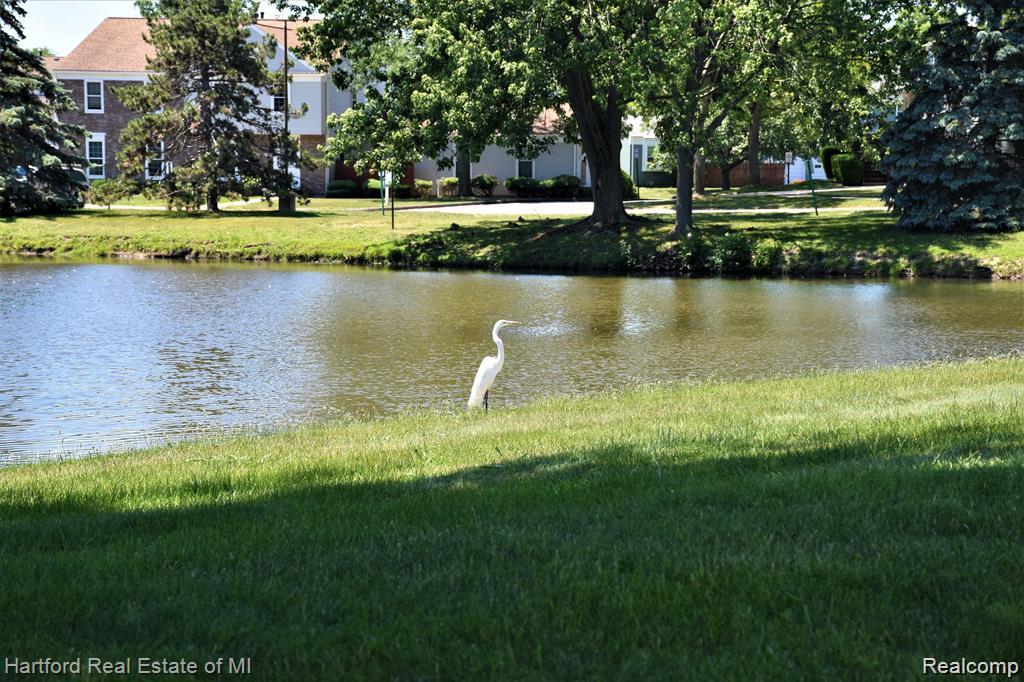 23622 Stonehenge Boulevard 77