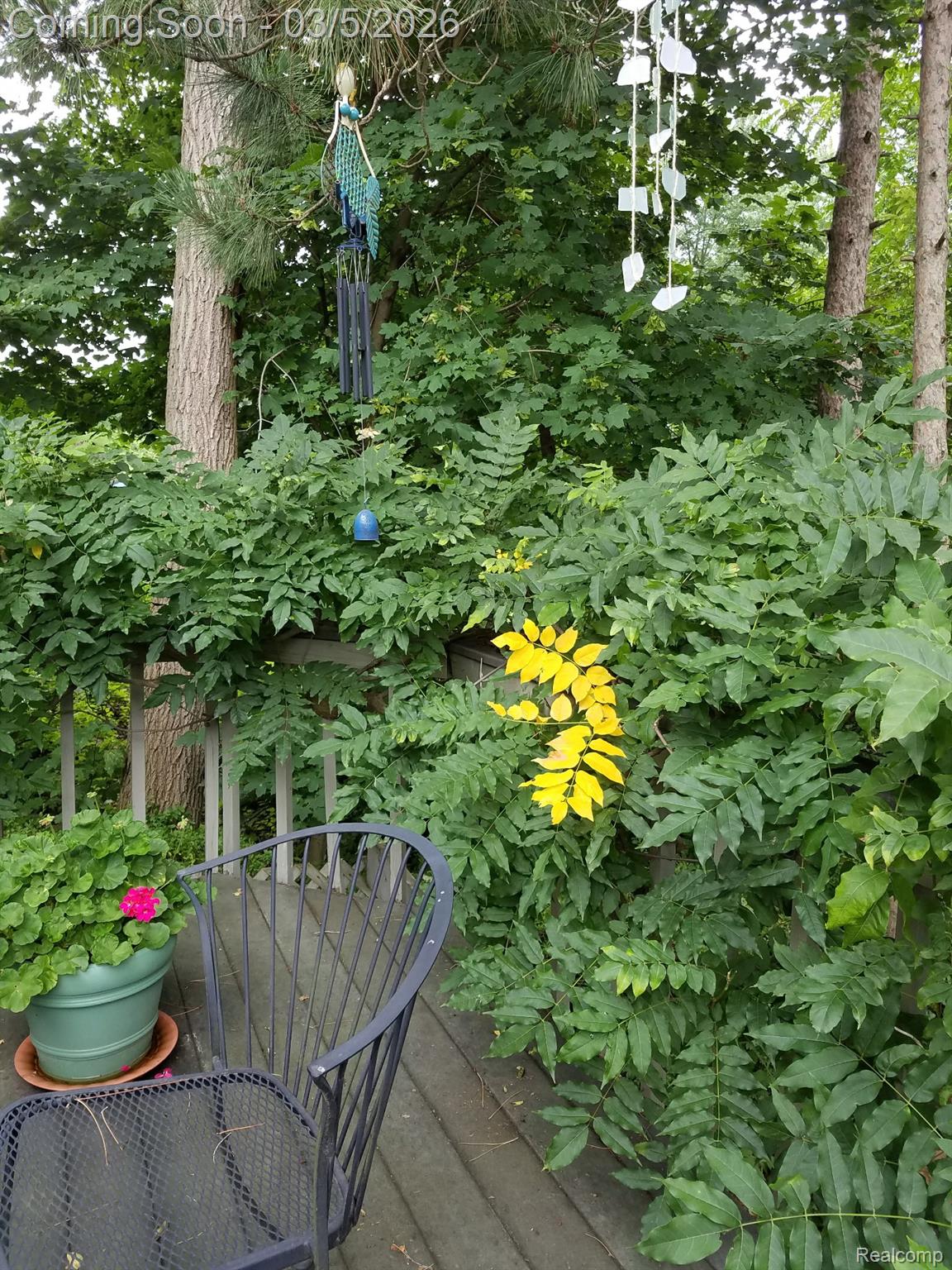 6579 Balmoral Terrace