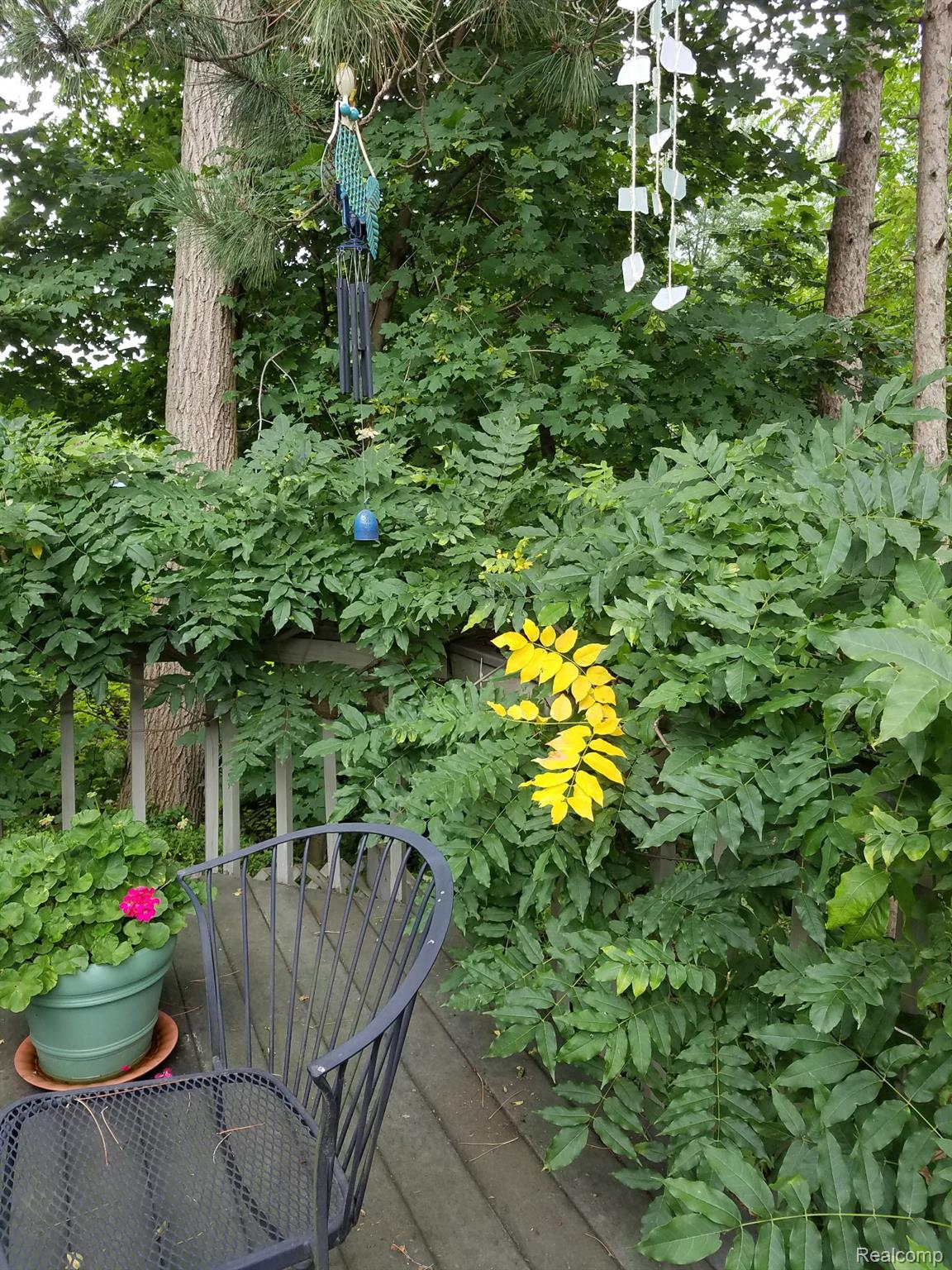 6579 Balmoral Terrace