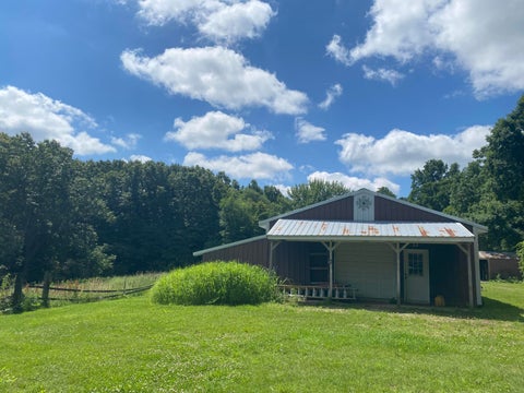Tiny photo for 11229 W Snows Lake Road, Eureka Township, MI 48838 (MLS # 65026032445)